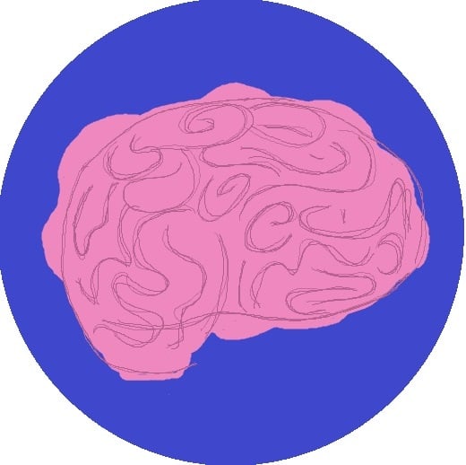 brain